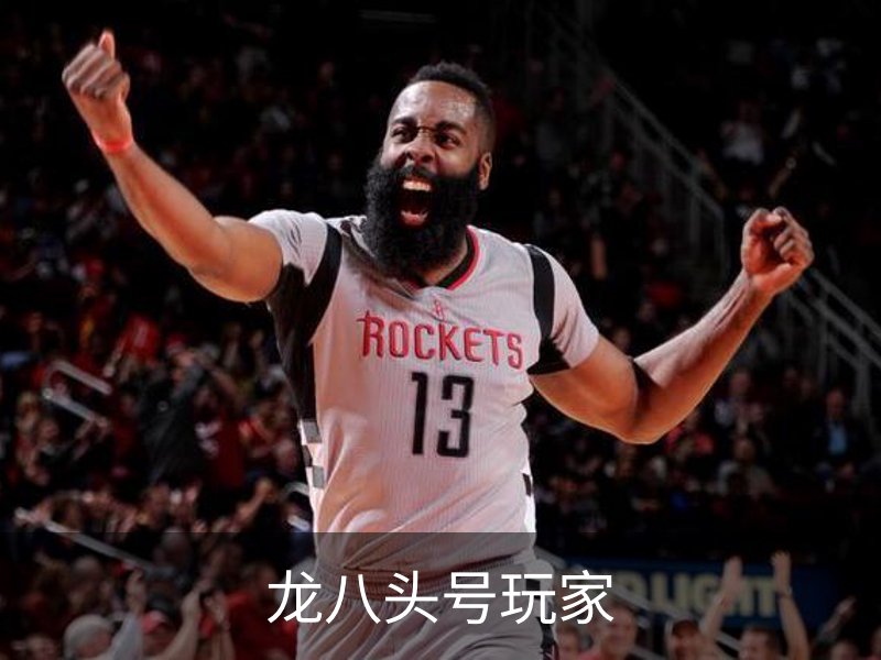 龙八头号玩家介绍